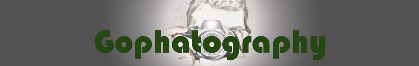 Gophatography